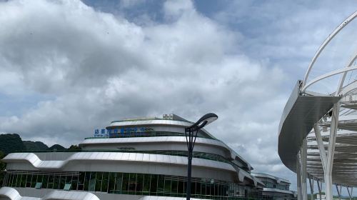 Tianyan Telescope