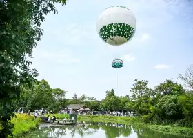 Xixi Air Hot Balloon