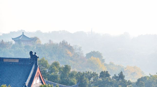 杭州雷峯塔+杭州宋城+西湖遊船一日遊【宋城千古情】純玩