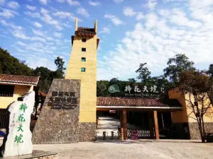 Cotton Cenote Tourist Resort