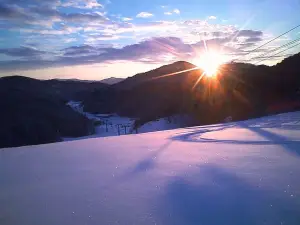 芸北國際滑雪場