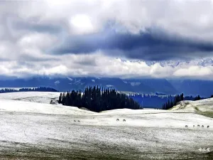 Kalajun National Park