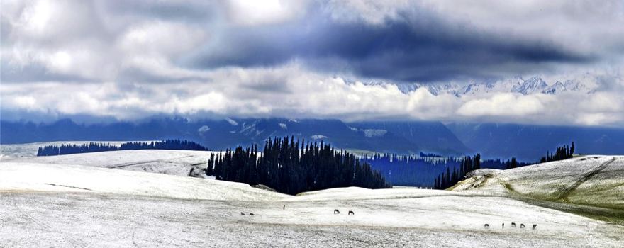 Kalajun National Park