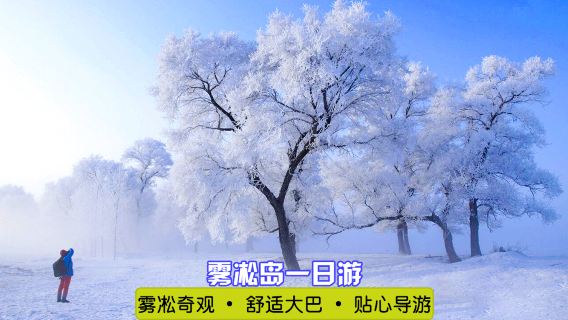吉林市霧凇島一日遊【滿族民居吉林出發舒適大巴專業導遊帶團】
