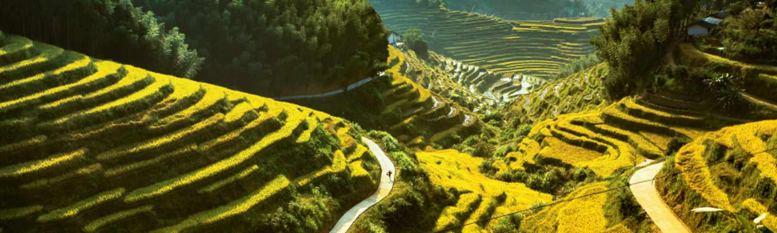travel