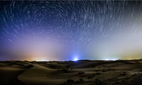 Golden Desert