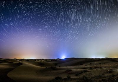 Golden Desert