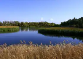 黄河三盛公国家水利風景区