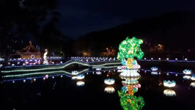 普陀山風景區一日遊【無購物·祈福專線許願還願】純玩靜心之旅