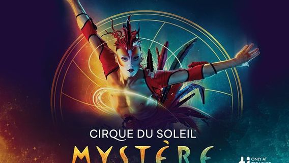 Mystère by Cirque du Soleil at Treasure Island Hotel & Casino | Trip.com