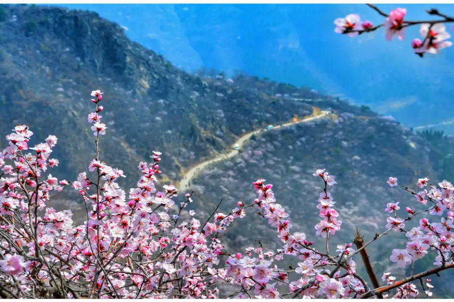 Qiugou Scenic Area