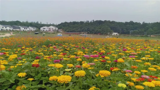 Xinyang Colorful Pastoral Longxi Valley