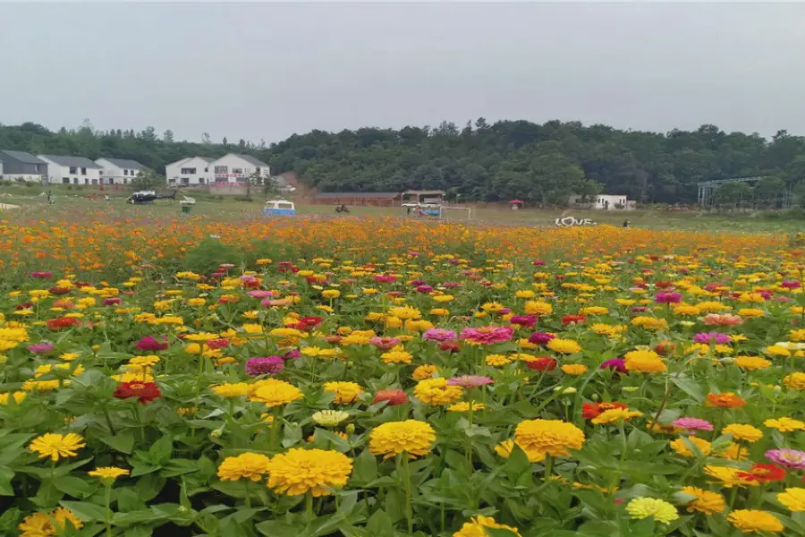 Xinyang Colorful Pastoral Longxi Valley