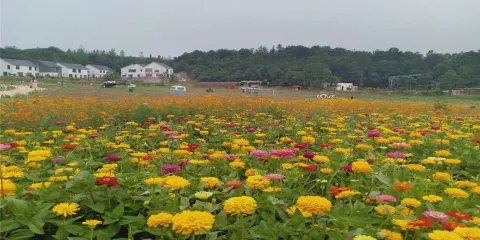 信陽多彩田園龍熙谷