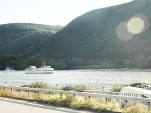 Private Tour: Customizable Rhine Valley Day Trip from Frankfurt