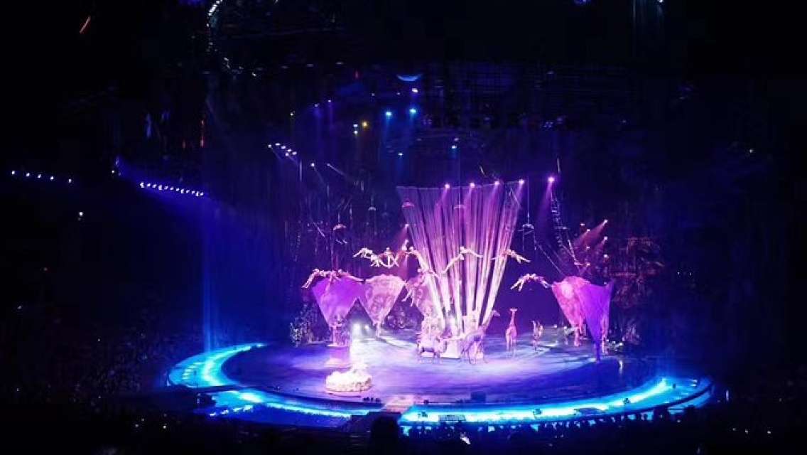 Chimelong Circus Show with Private Transfer in Guangzhou