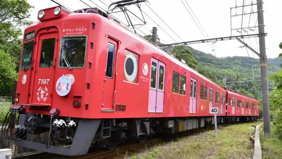 [官方票] 大阪南海電鐵 全線二日乘車券丨不限次數自由乘坐 可達關西機場/難波/和歌山/高野山