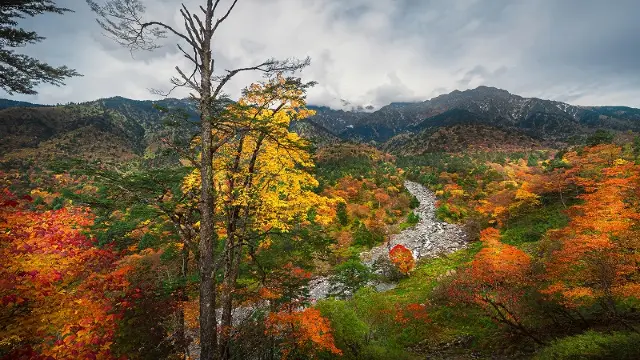 Fall Foliage Sightseeing in Ya'an
