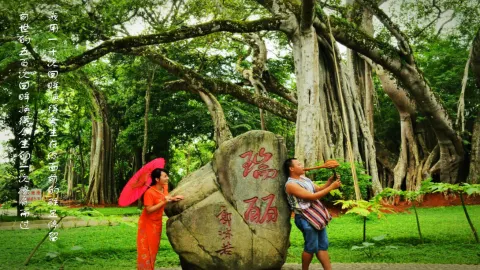Mangling One-Tree Forest attraction in รุ่ยลี่