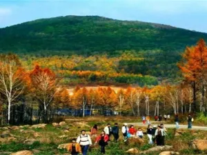 Jinlong Mountain National Forest Park