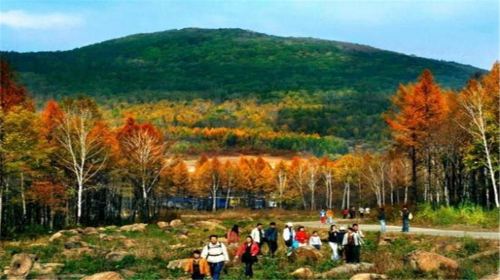 Jinlong Mountain National Forest Park