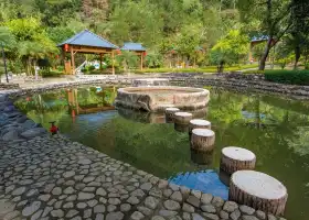 ยอดแรกของมณฑลกวางตุ้ง