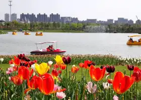 Ningbo Botanical Garden