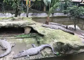 Chongqing Crocodile Breeding Center
