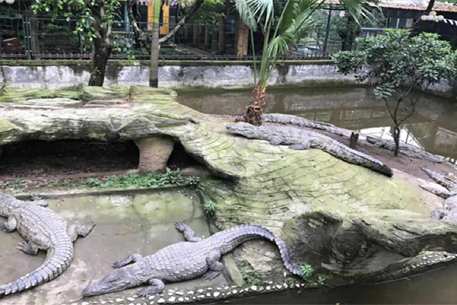 重慶鱷魚養殖中心