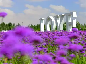 닝샤의 봄꽃 명소 베스트 20