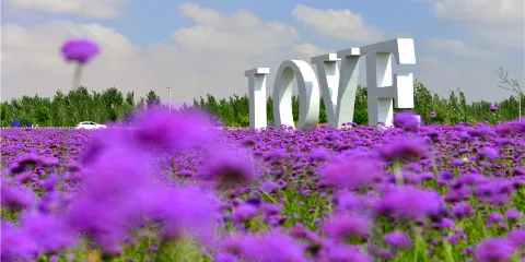 騰格里金沙島旅遊區門票成人