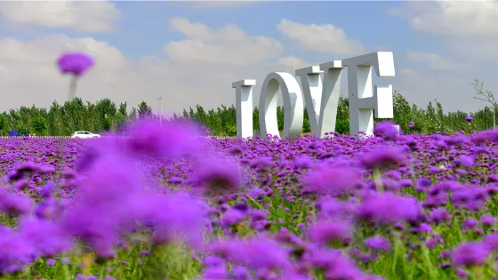 騰格里金沙島旅遊區