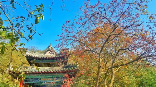 Shengshui Temple, Weihai