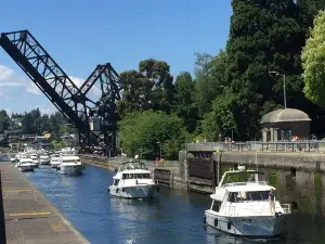 Seattle Ballard Locks, Gas Works Park and Houseboats Tour