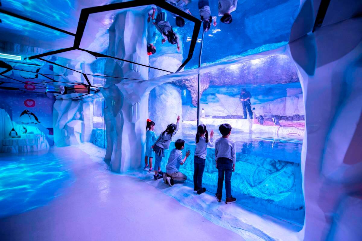 曼谷親子遊 | 暹羅海洋世界