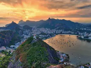 The Best of Rio de Janeiro in a Private Guided Tour 