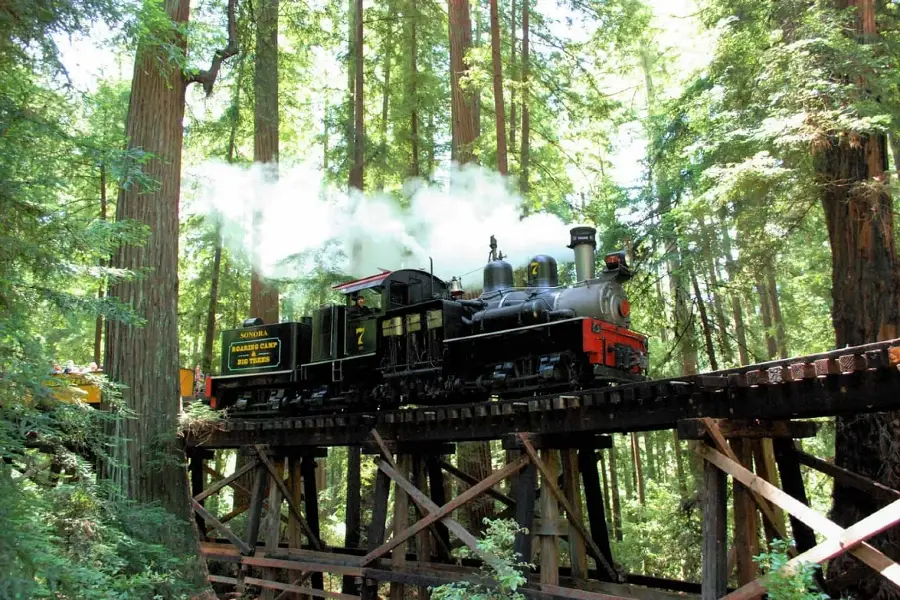 Roaring Camp