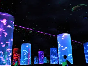 Dali Ocean World