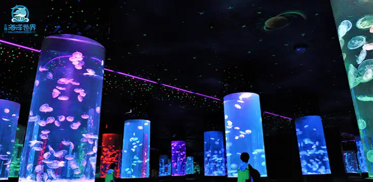 鄰近大理海洋世界的酒店