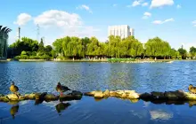 Garden of World's Flowers