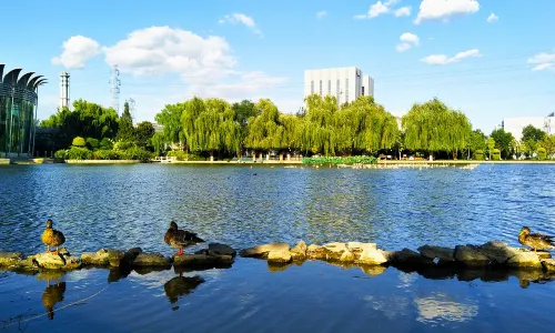 Garden of World's Flowers