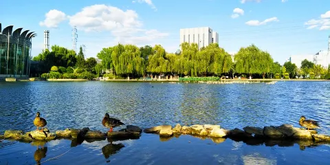 世界花卉大觀園