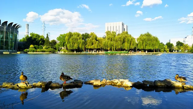 1_Garden of World's Flowers