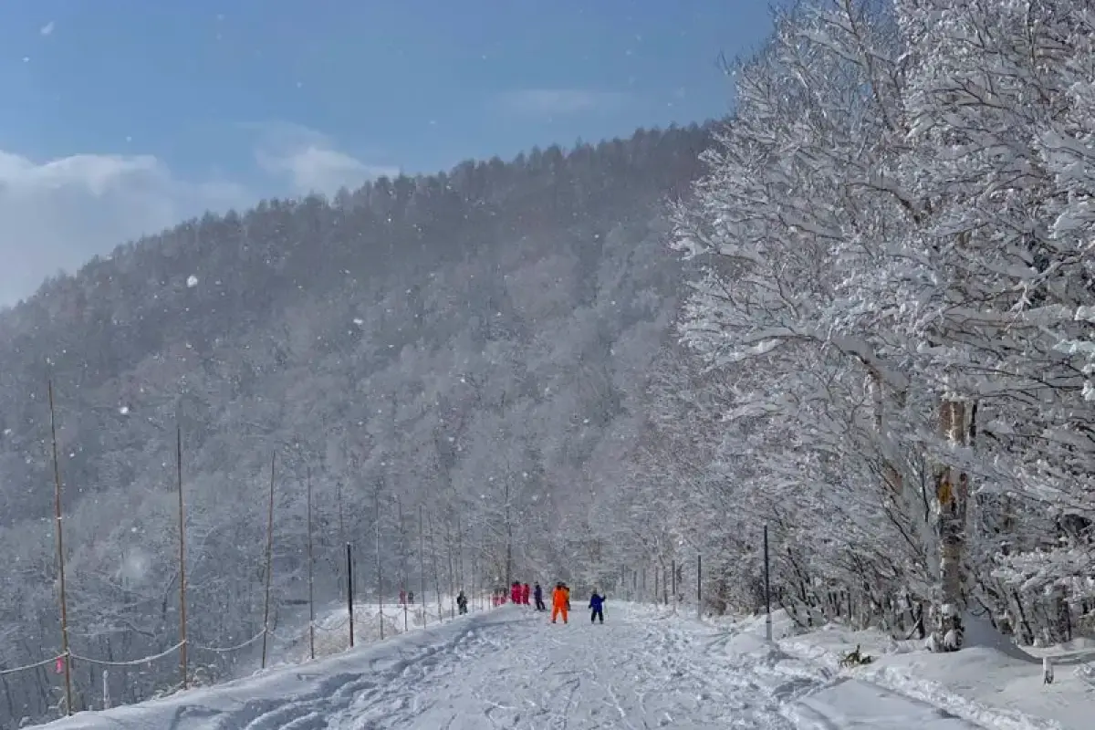 도쿄에서 삿포로