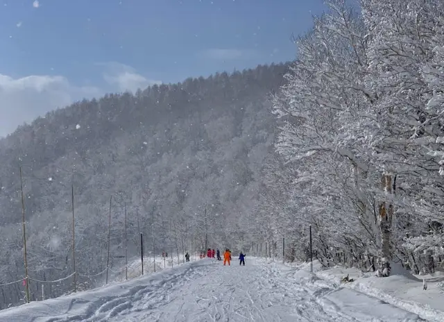 Skiing in Hokkaido