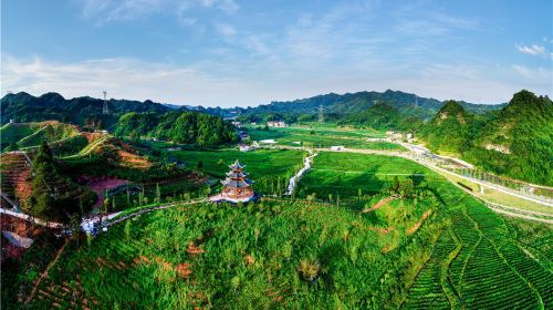 Chenlong Pass Tea-Tourism-Integration Industrial Park