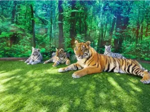 夢幻世界遊樂園