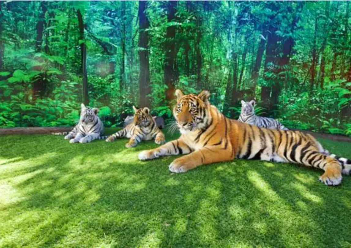 3_夢幻世界遊樂園