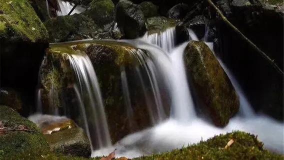 大龍門森林公園