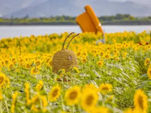 德清下渚湖濕地公園